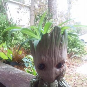 Meet your Posher, Cheryl